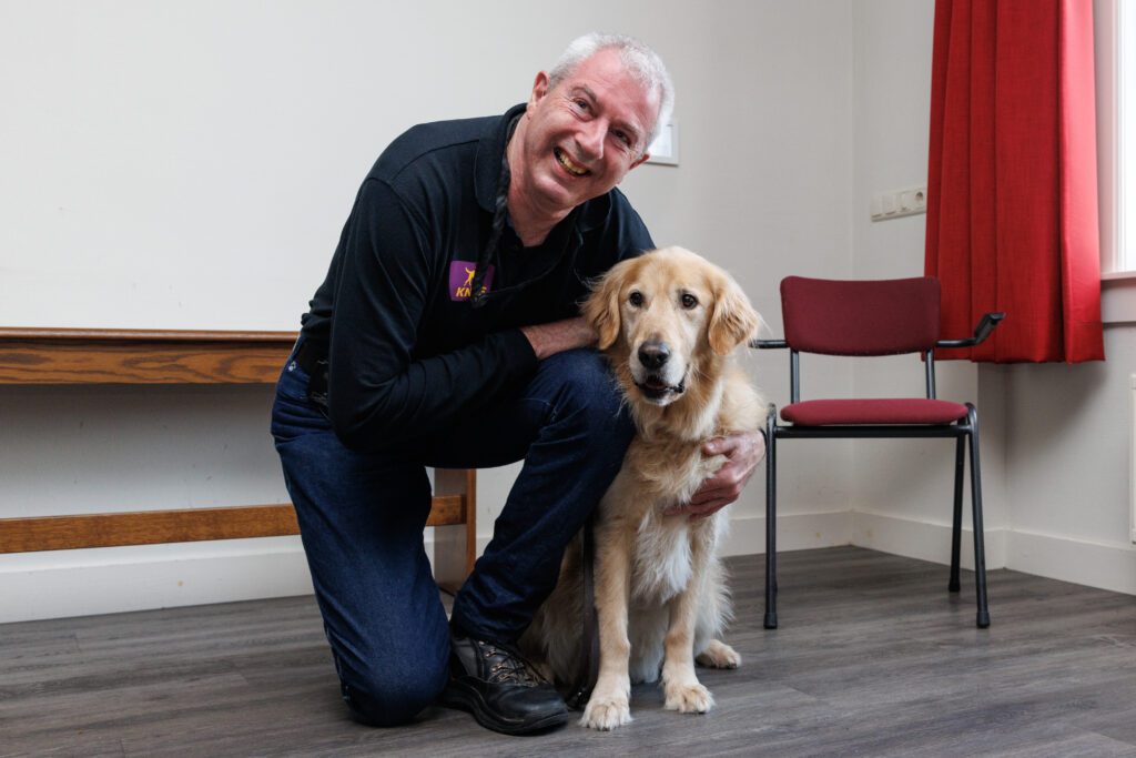 A KNGF Geleidehonden guide dog in training